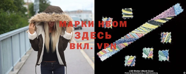 дмт Карпинск