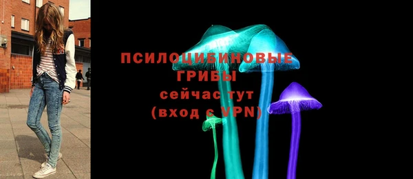 дмт Карпинск