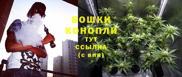 ПСИЛОЦИБИНОВЫЕ ГРИБЫ Валуйки
