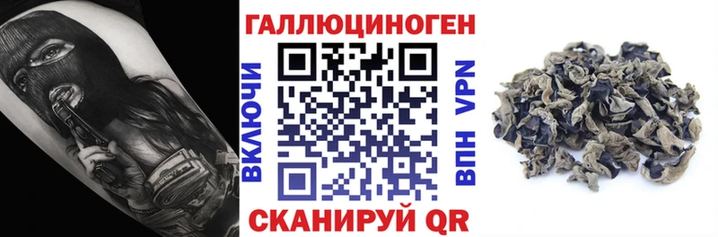 Галлюциногенные грибы GOLDEN TEACHER Заозёрск